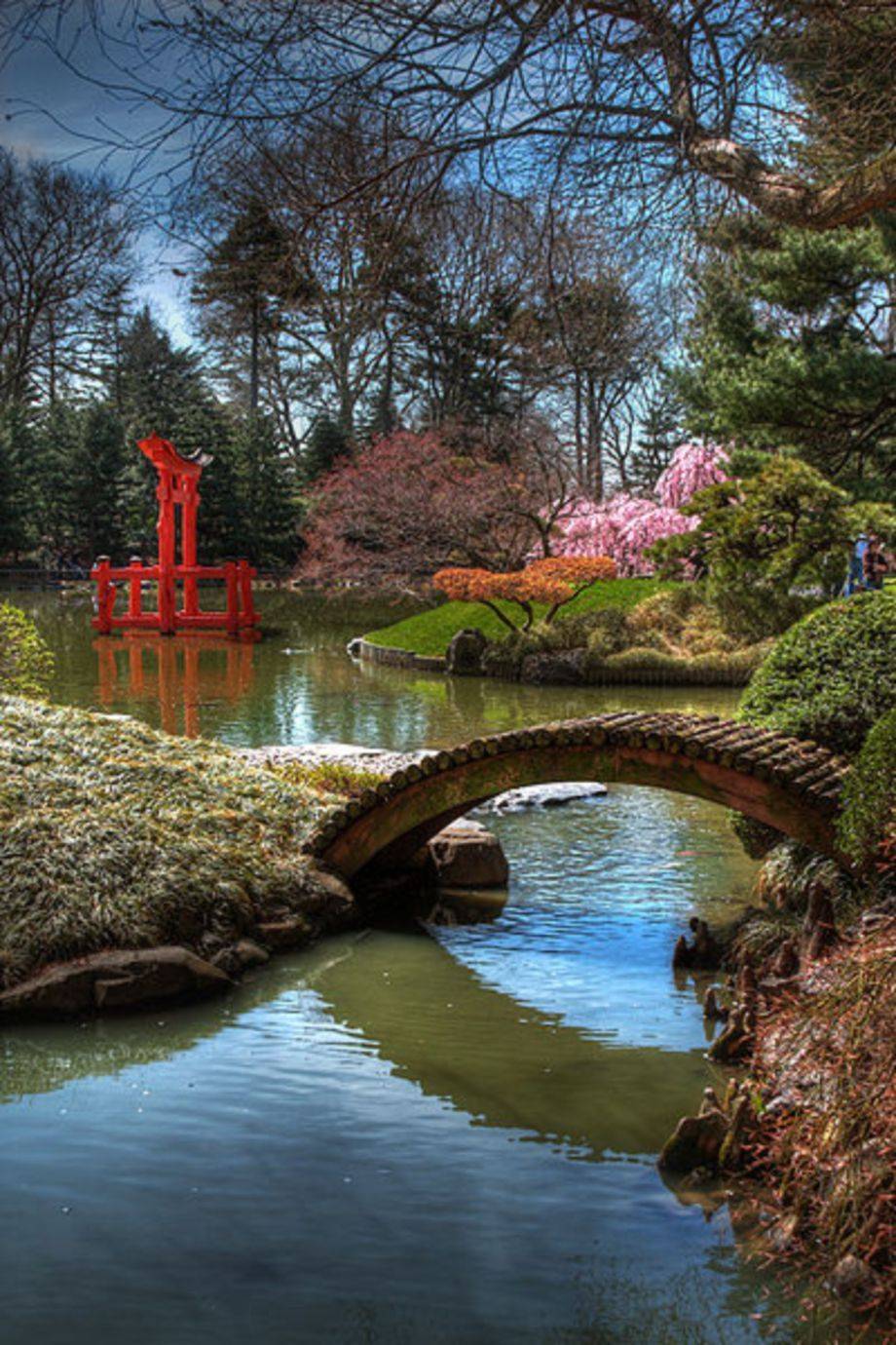 The Most Beautiful Botanical Garden