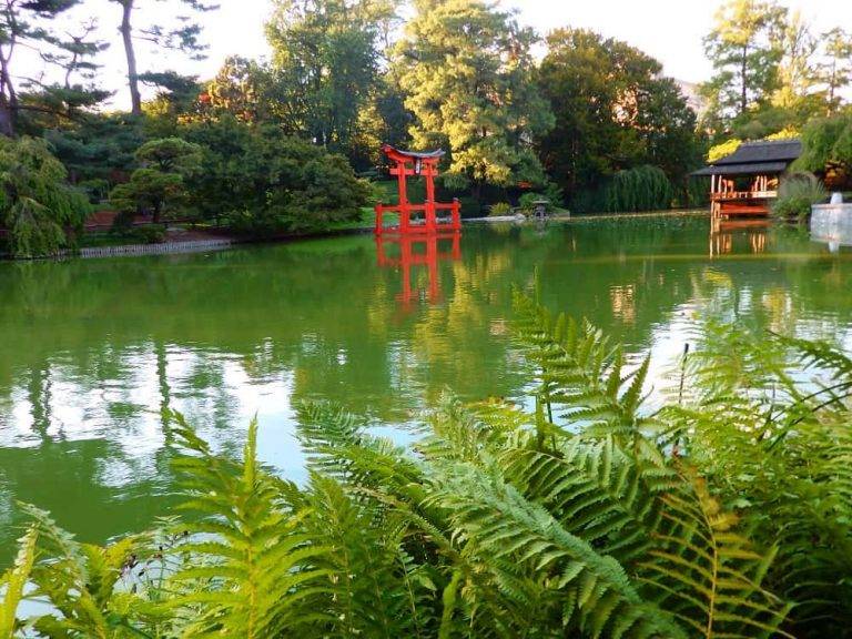 The Brooklyn Botanic Garden