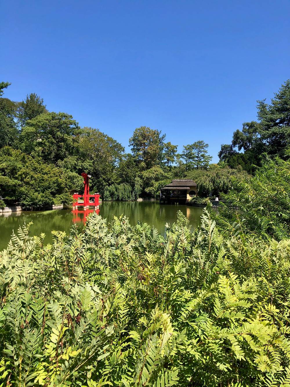 The Brooklyn Botanical Gardens