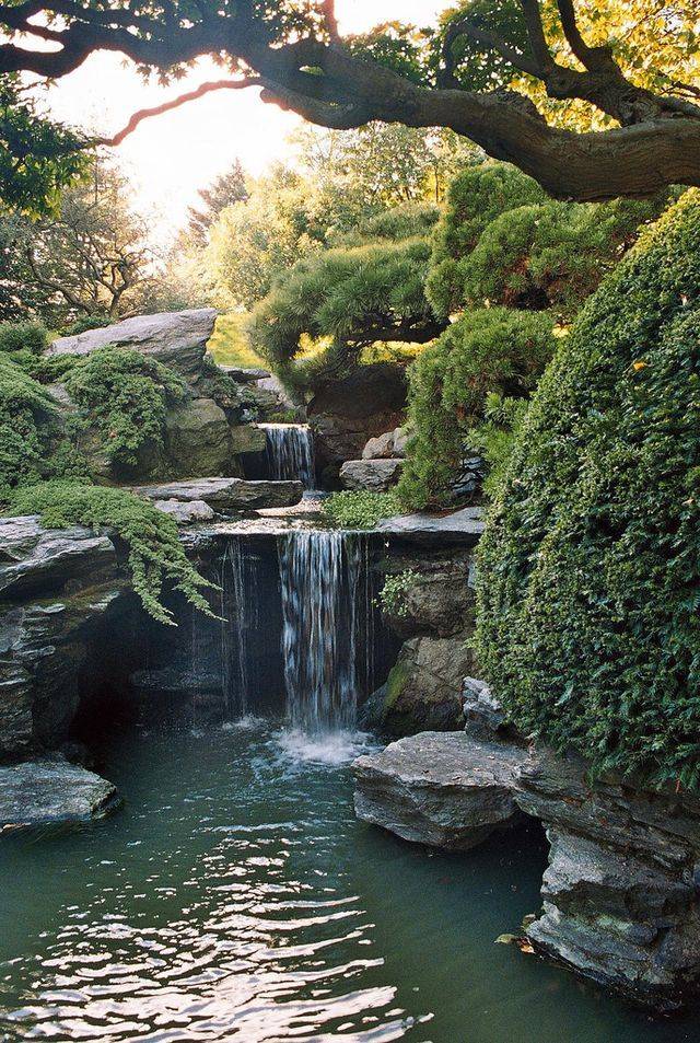 Visitar El Brooklyn Botanical Garden