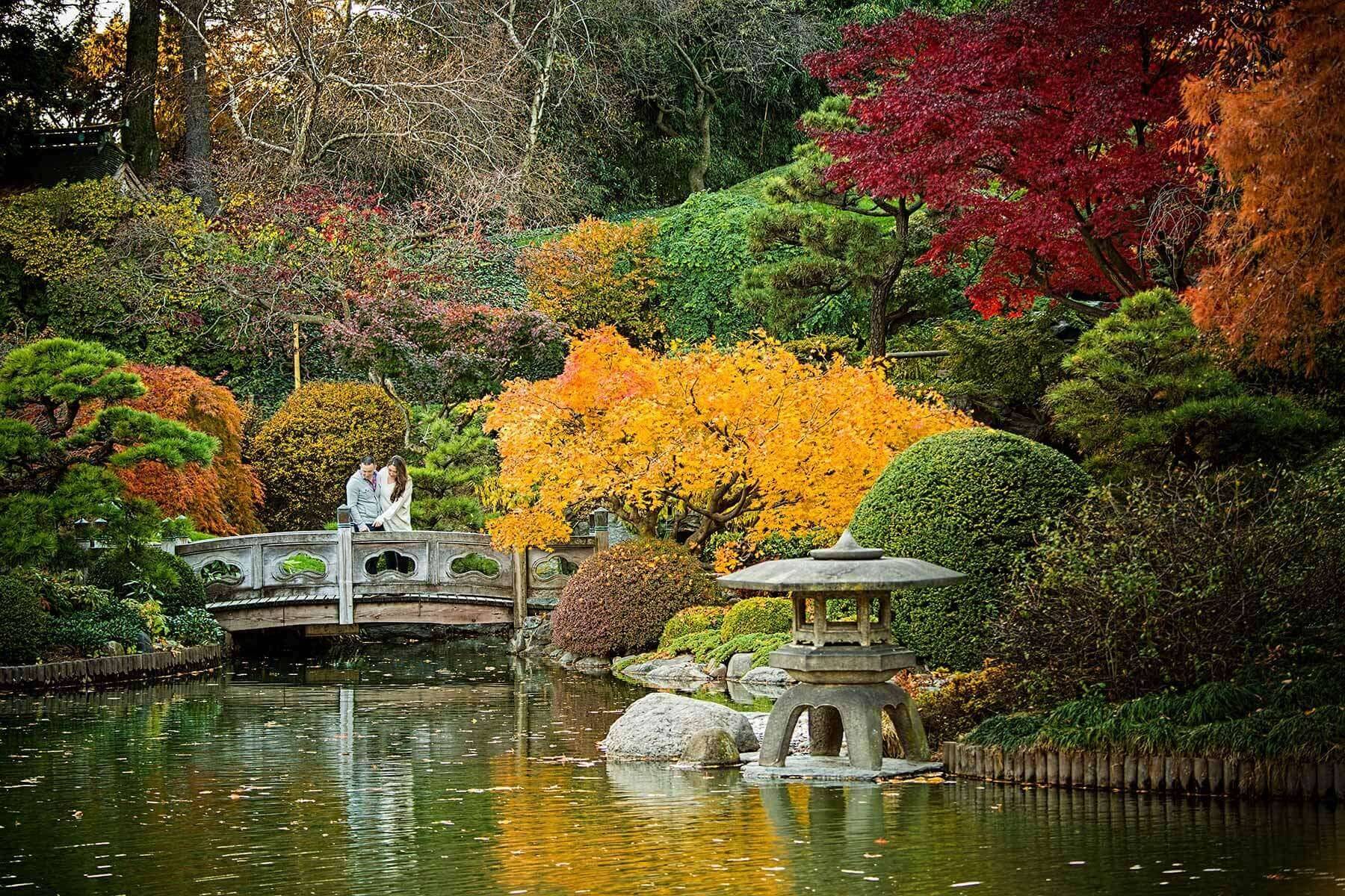 Brooklyn Botanical Garden Flickr Photo Sharing