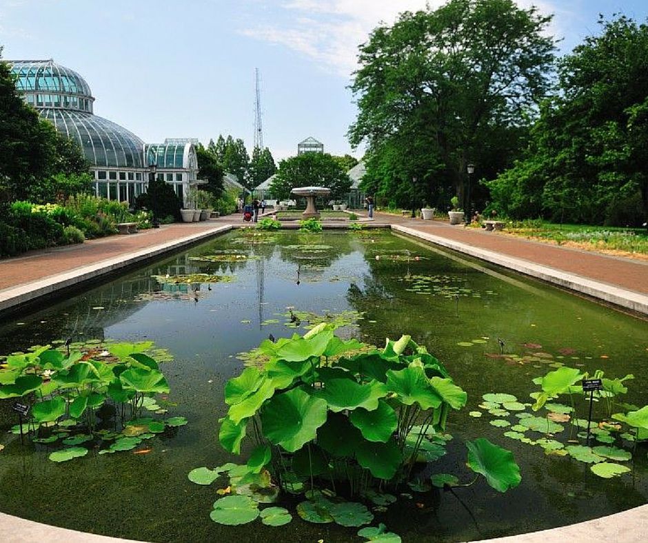 Botanical Garden Bronx Ny Events