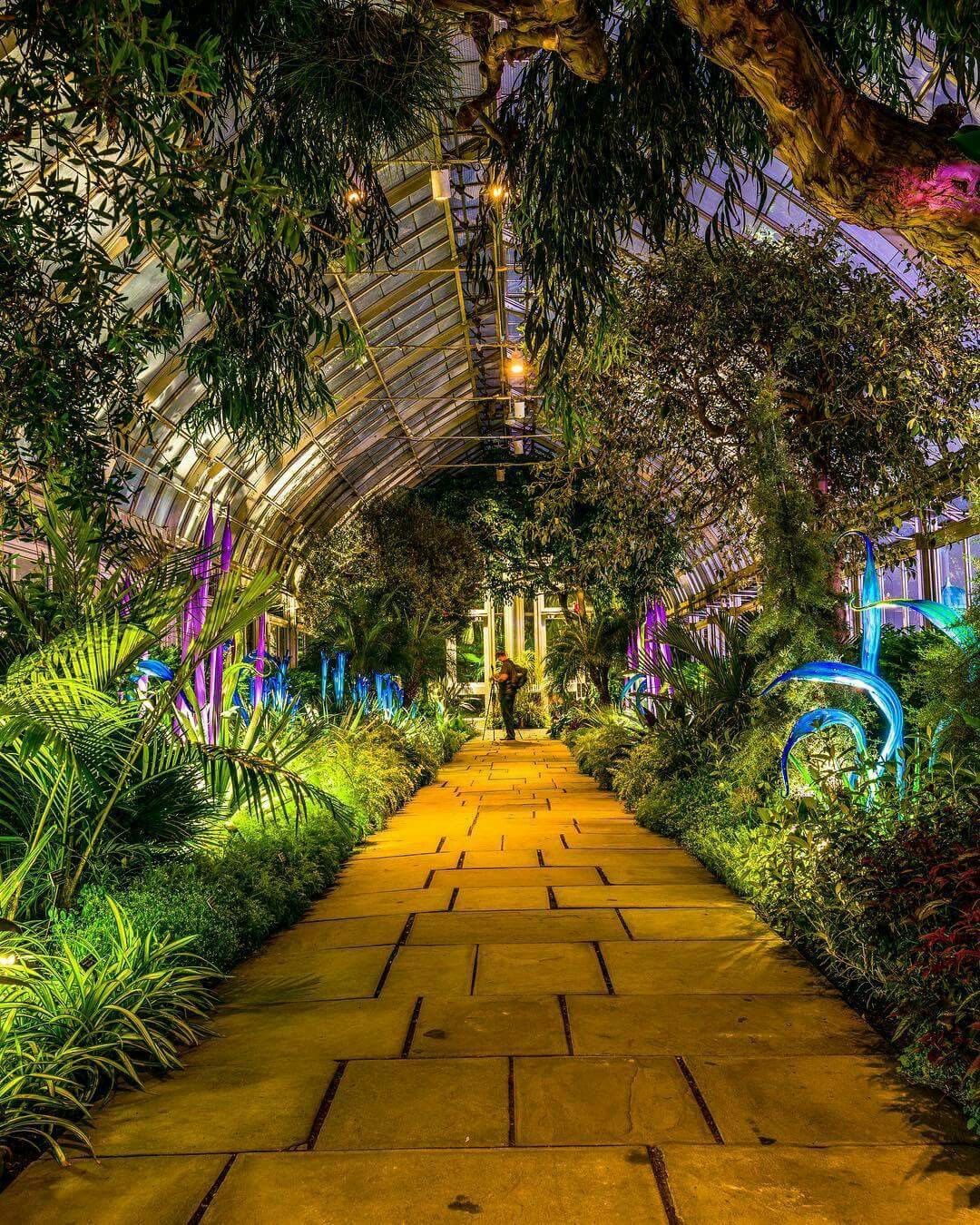 Botanical Gardens Lights Buffalo Ny