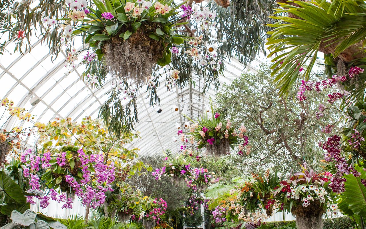 The New York Botanical Garden