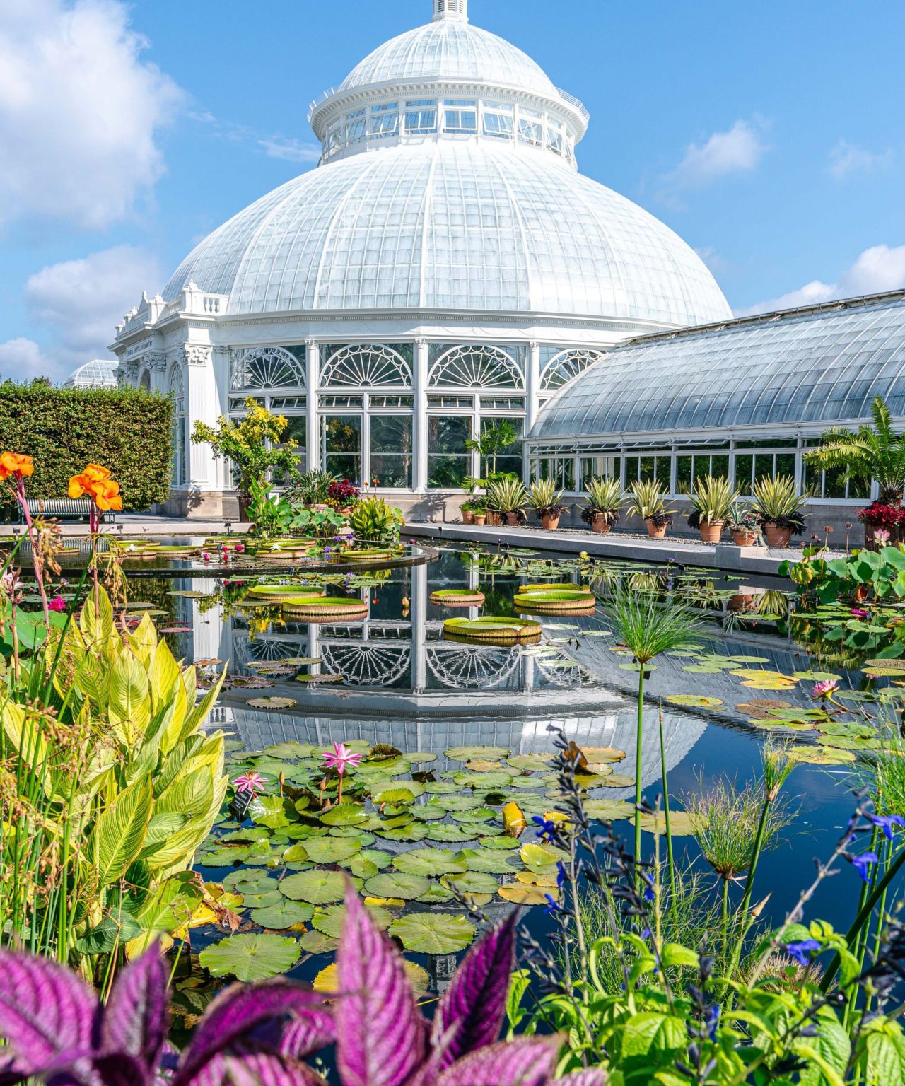 New Yorks Best Fall Events Brooklyn Botanical Garden