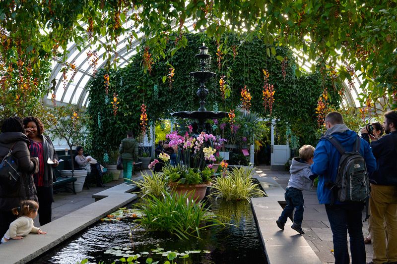 The New York Botanical Garden