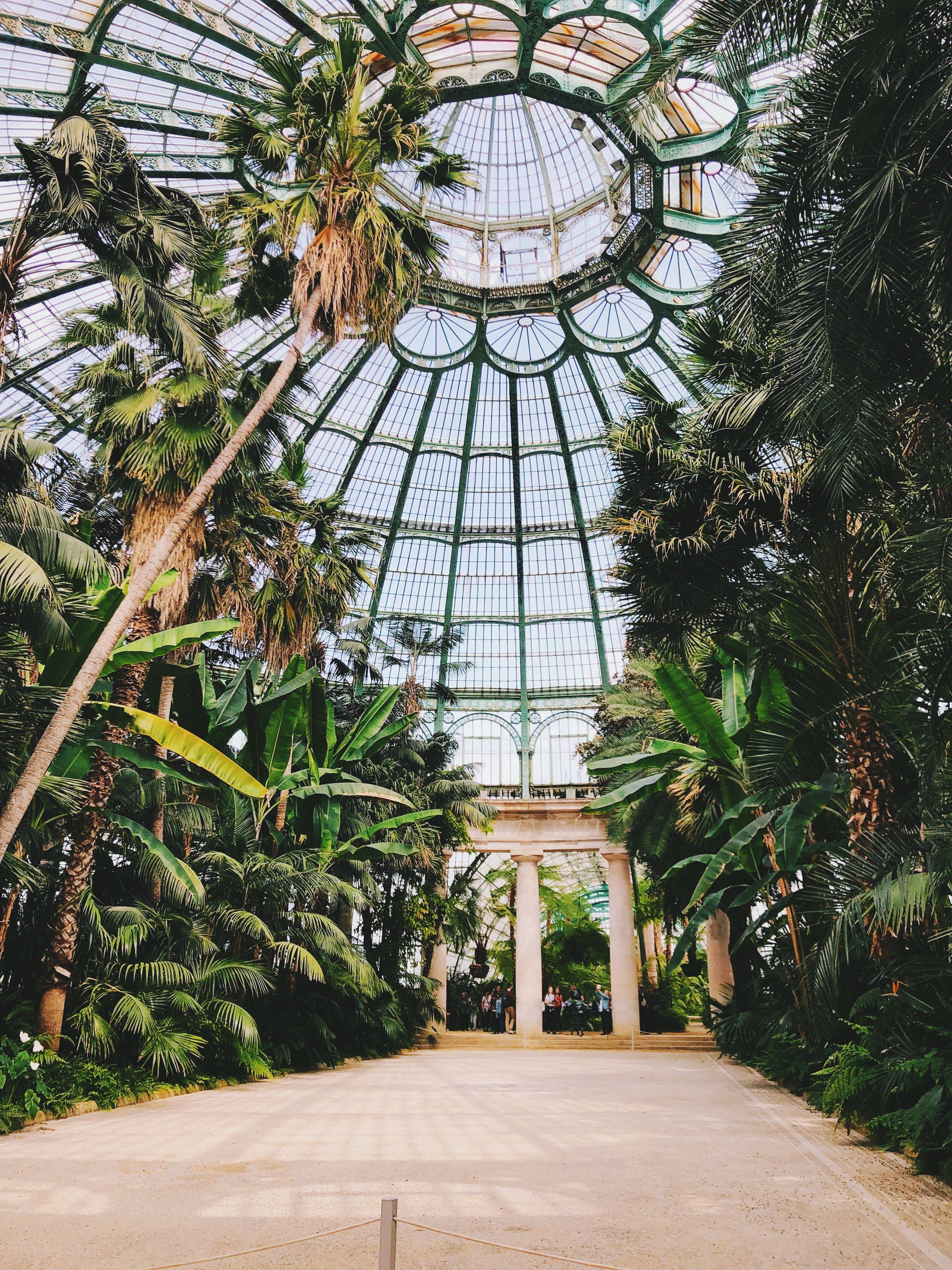 Brooklyn Botanic Garden Festival