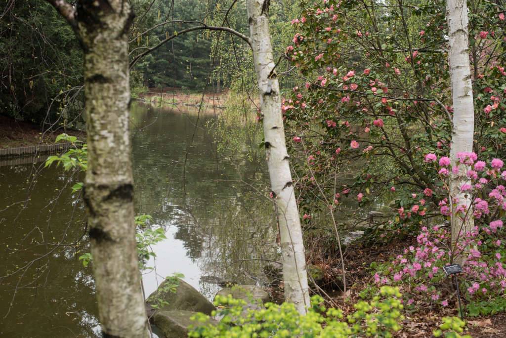 Such A Whimsical Ceremony Location