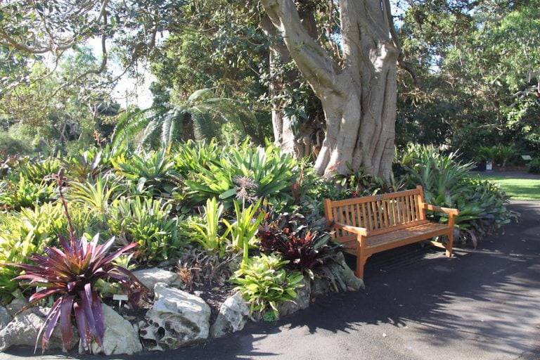 A Desert Botanical Garden Family Photo Sesssion