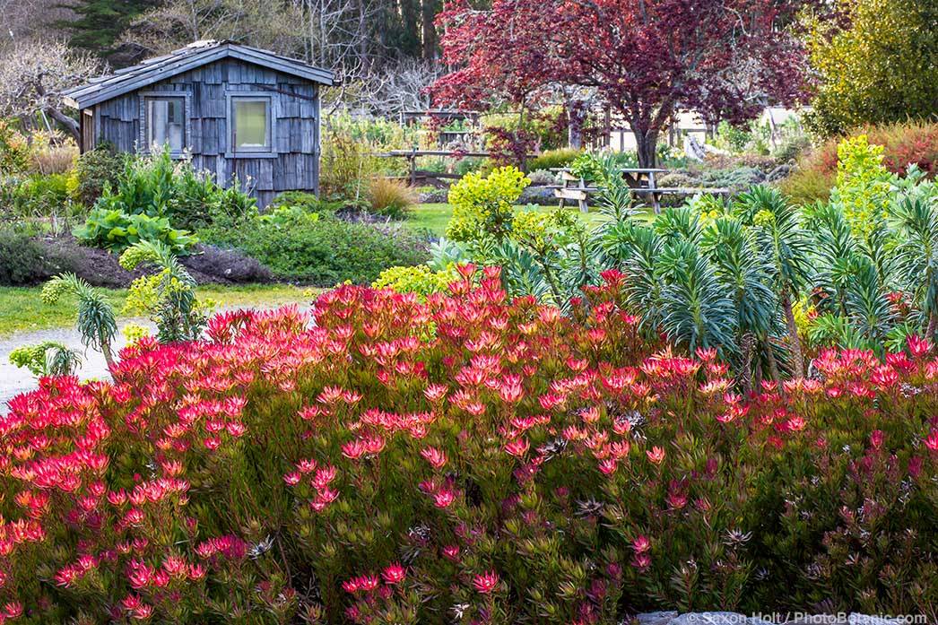 Chicago Botanic Garden