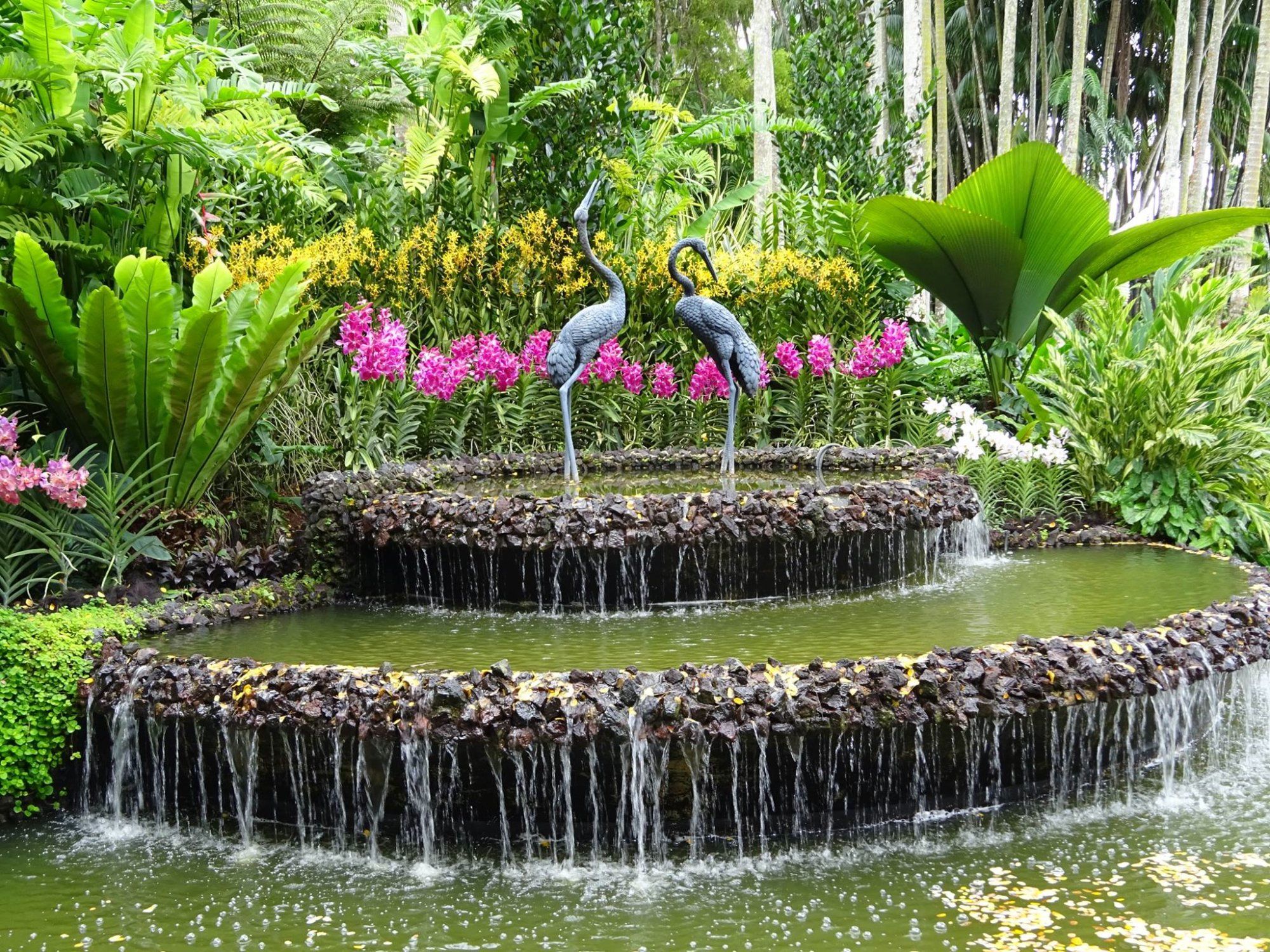 Majestic Royal Botanical Gardens