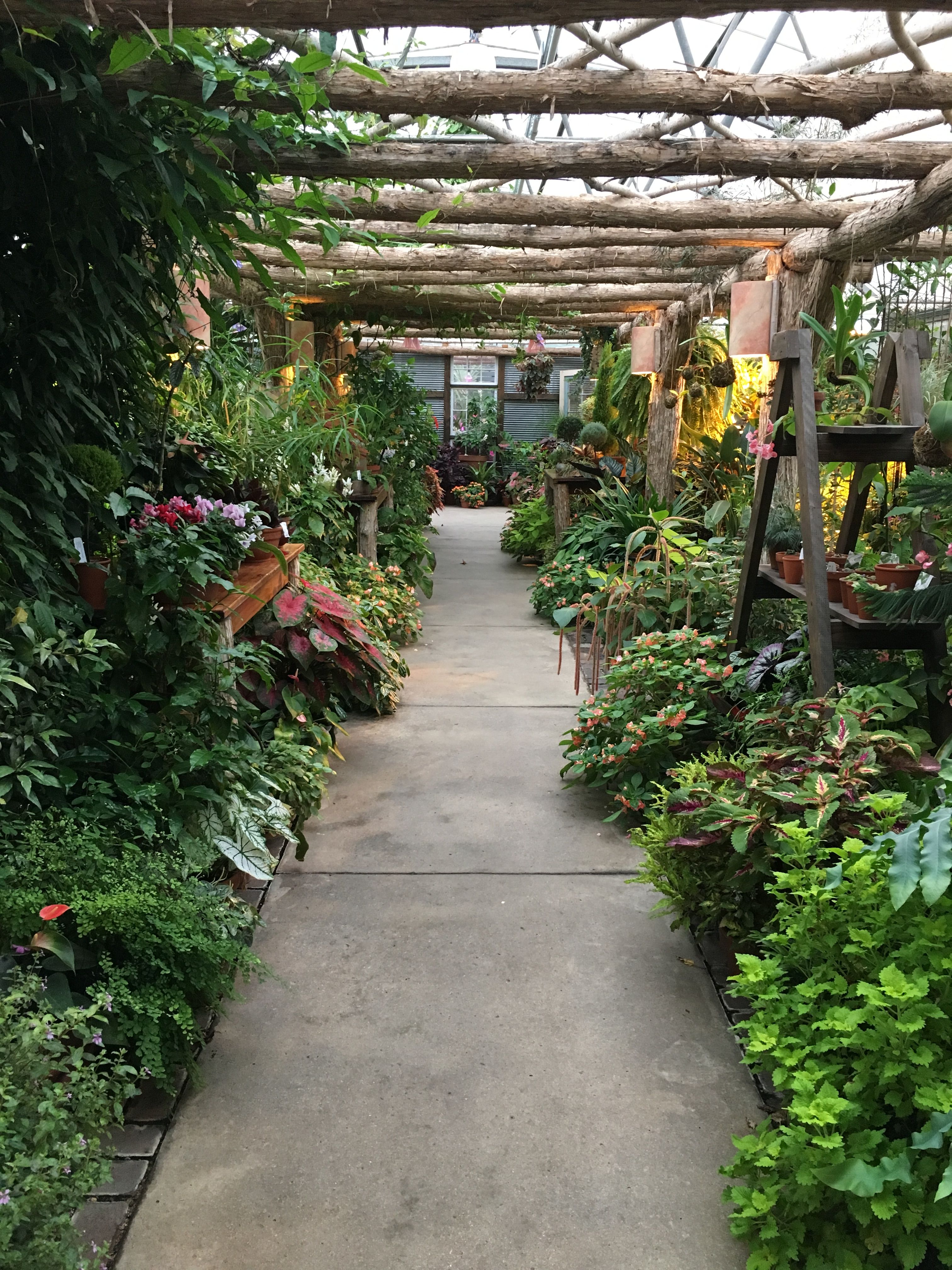 Photo Tips Mendocino Coast Botanical Garden Photobotanic