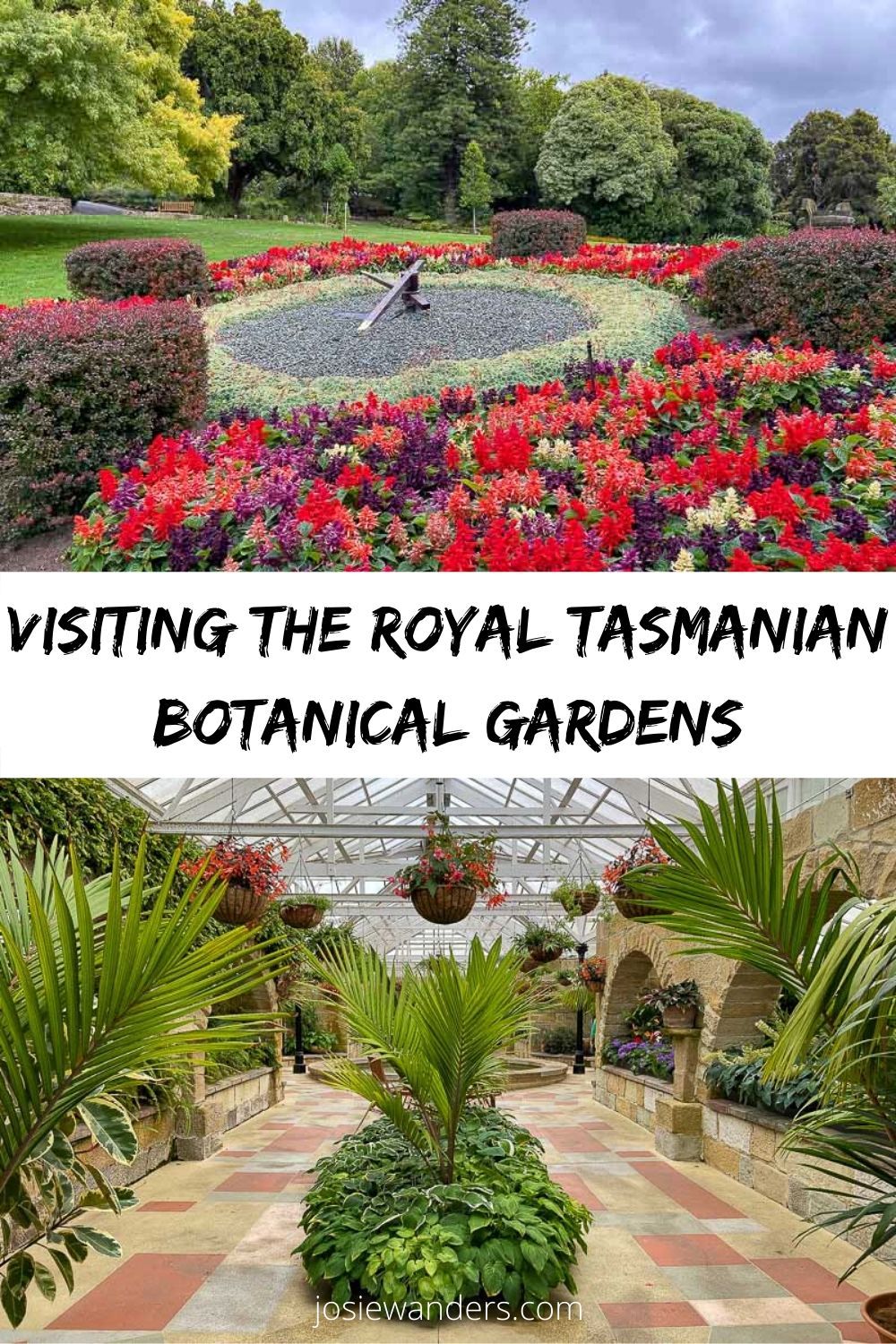 Ucr Botanical Gardens Family Photoshoot