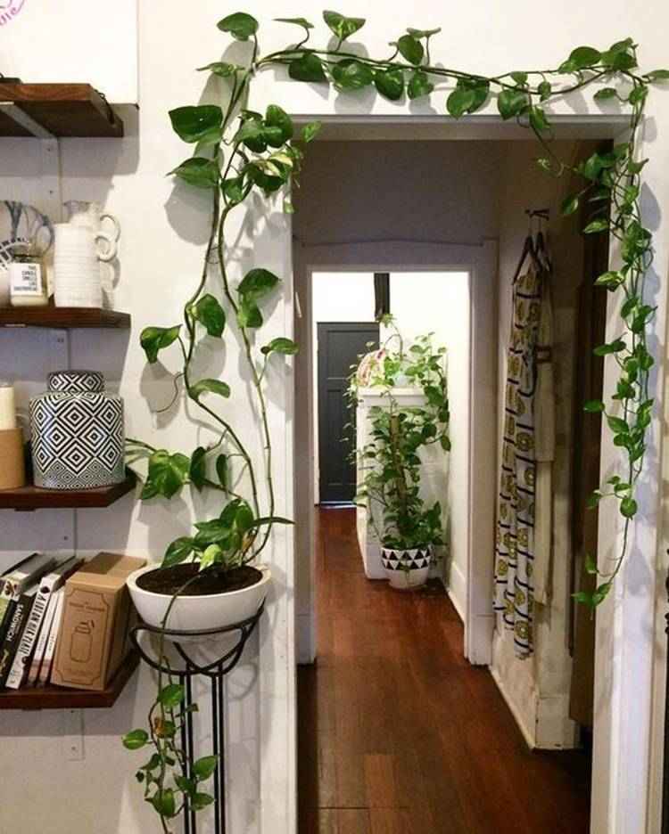 Vertical Garden Design