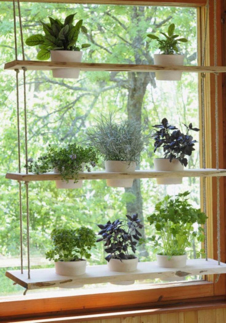A Hanging Indoor Herb Garden