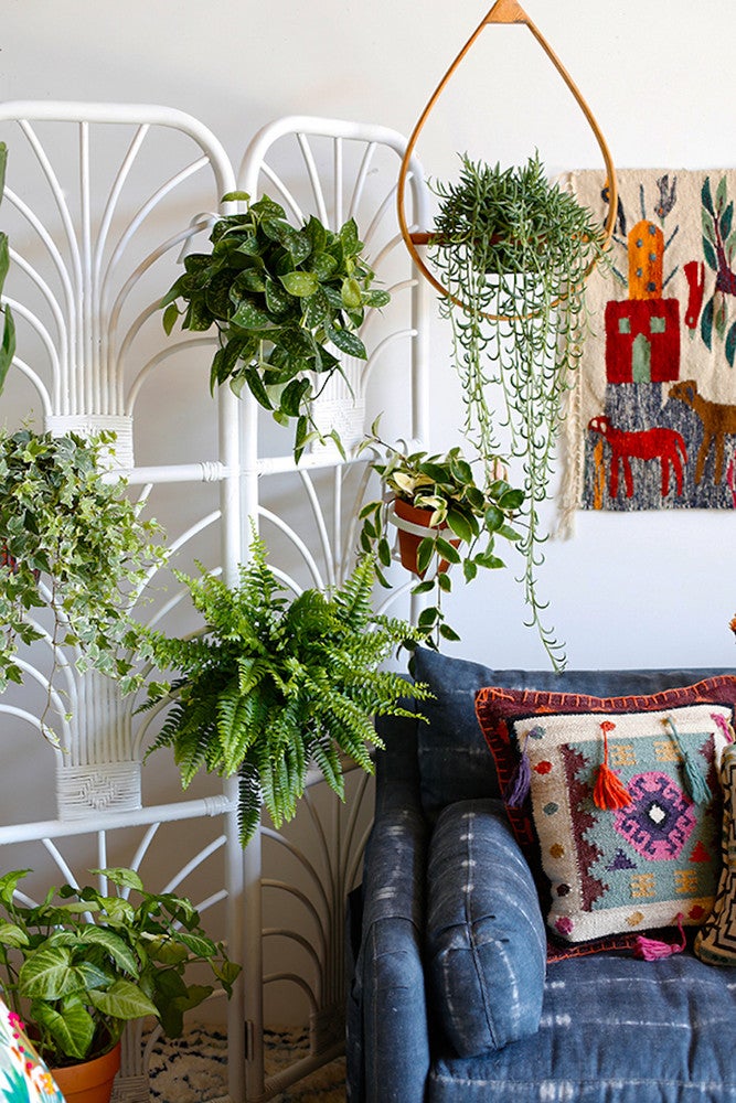 Indoor Garden Decor Ideas