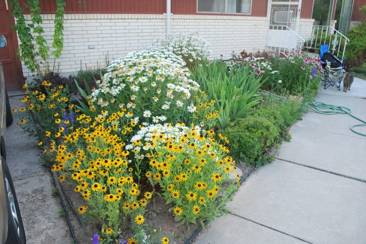 Colorful Garden Ideas
