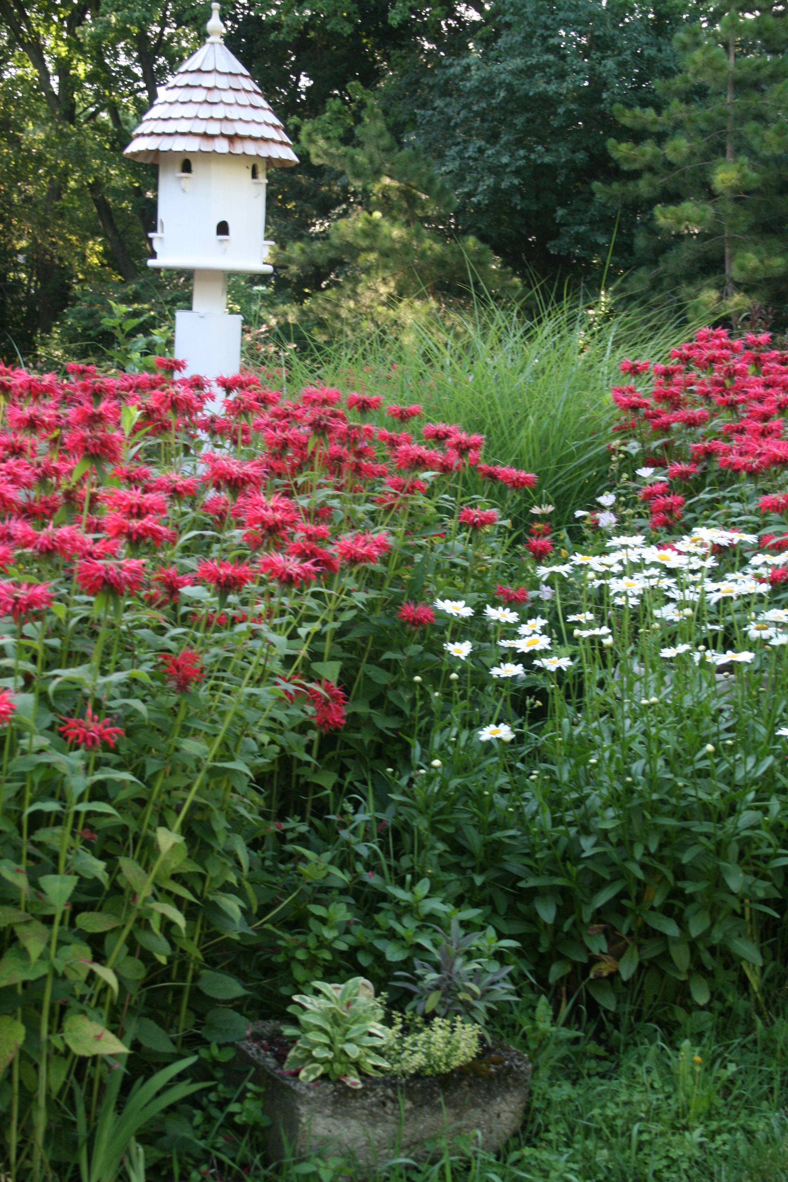 Colorful Garden Ideas