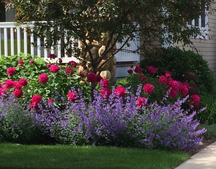 Flower Garden Flower Beds