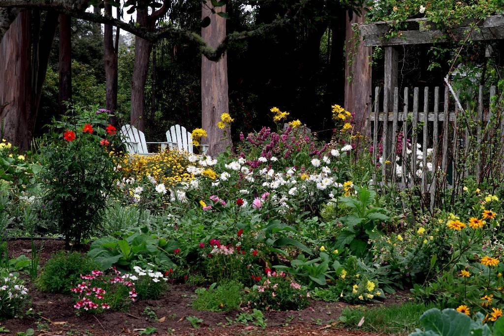 Mendocino Coast Botanical Garden Central Valley Builders