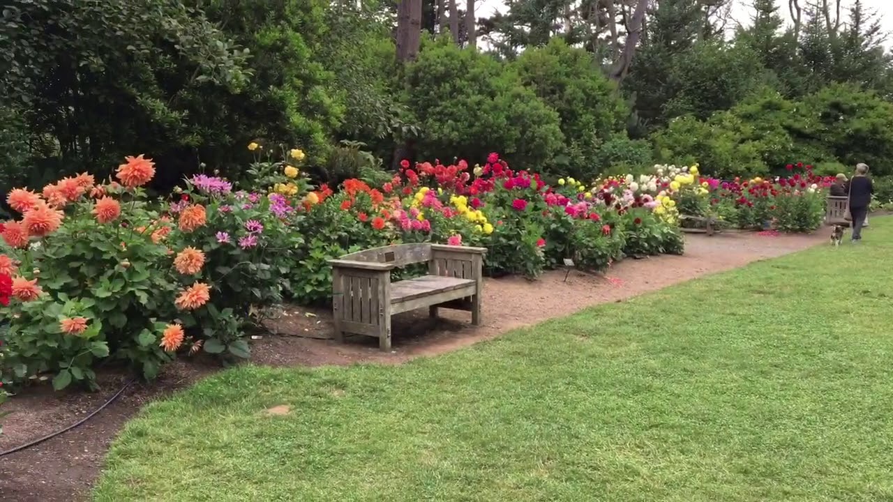 Mendocino Coast Botanical Gardens Botanical Gardens Most Beautiful