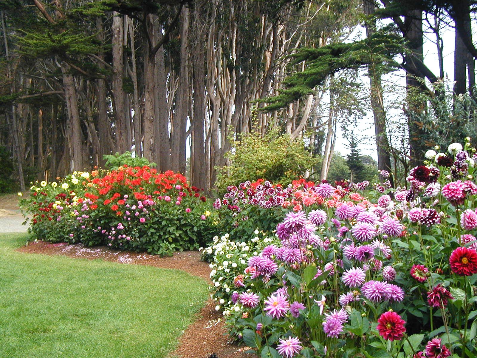Mendocino