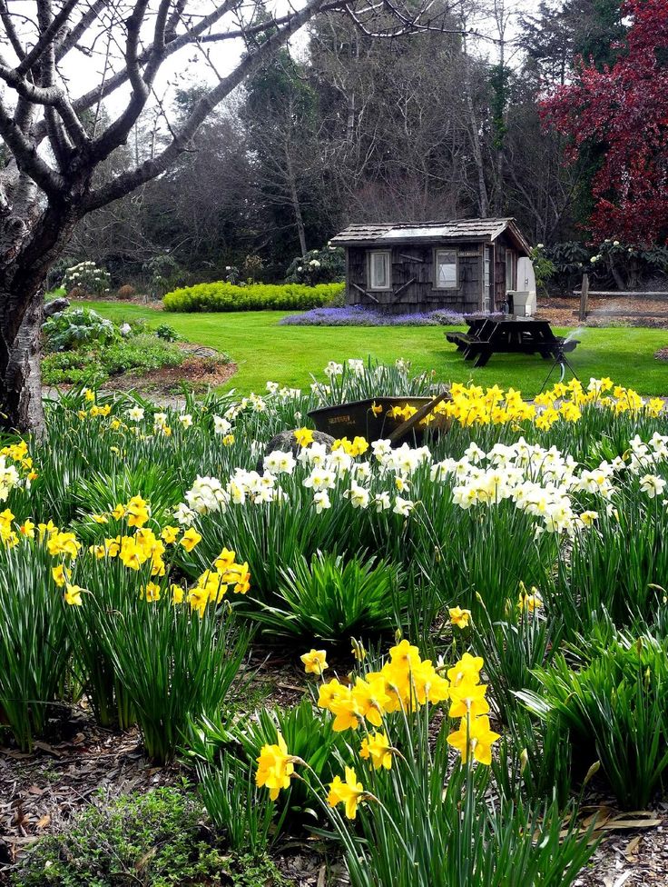 Mendocino Coast Botanical Garden