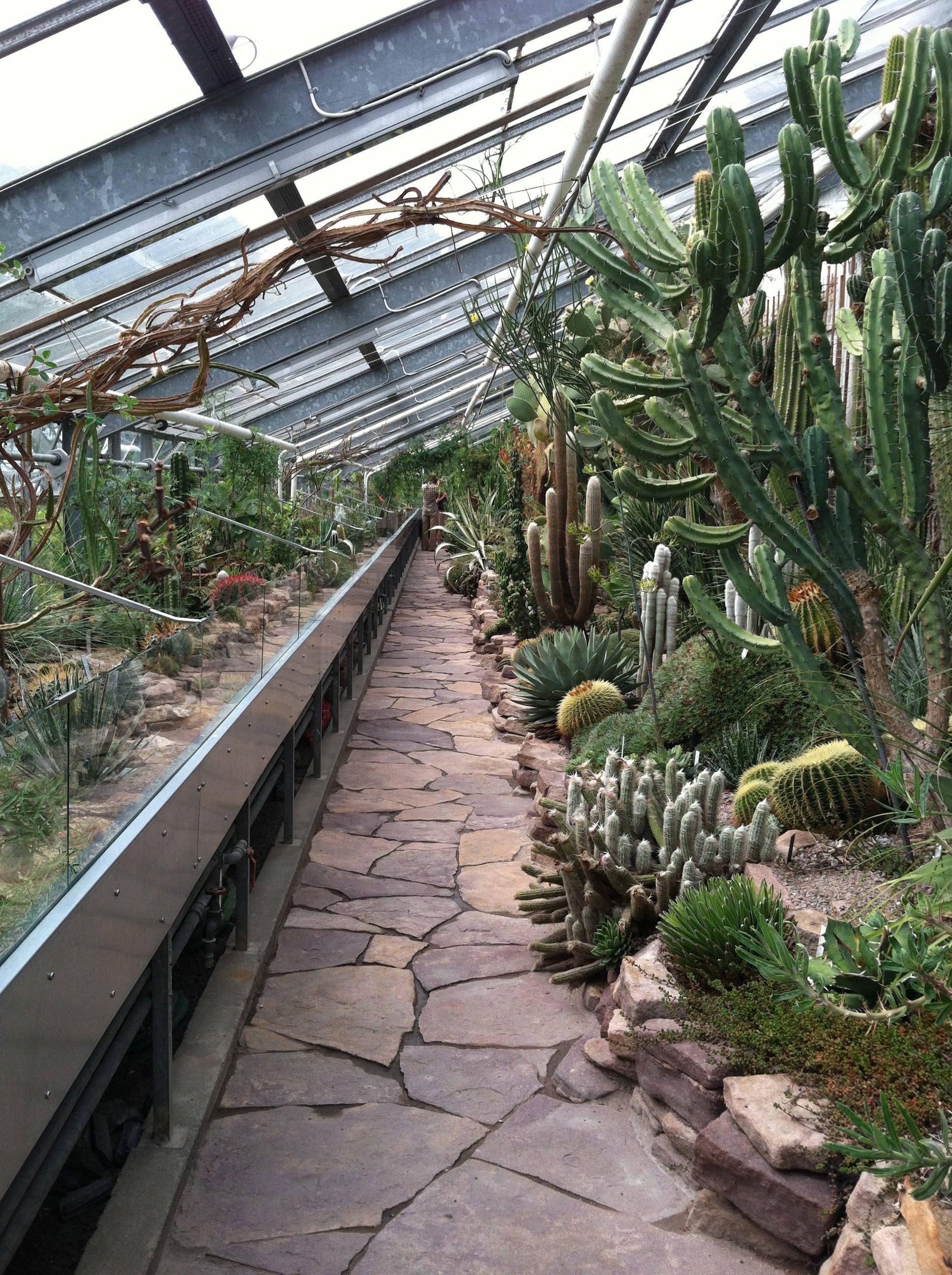 Wonderful Backyard Greenhouse Ideas