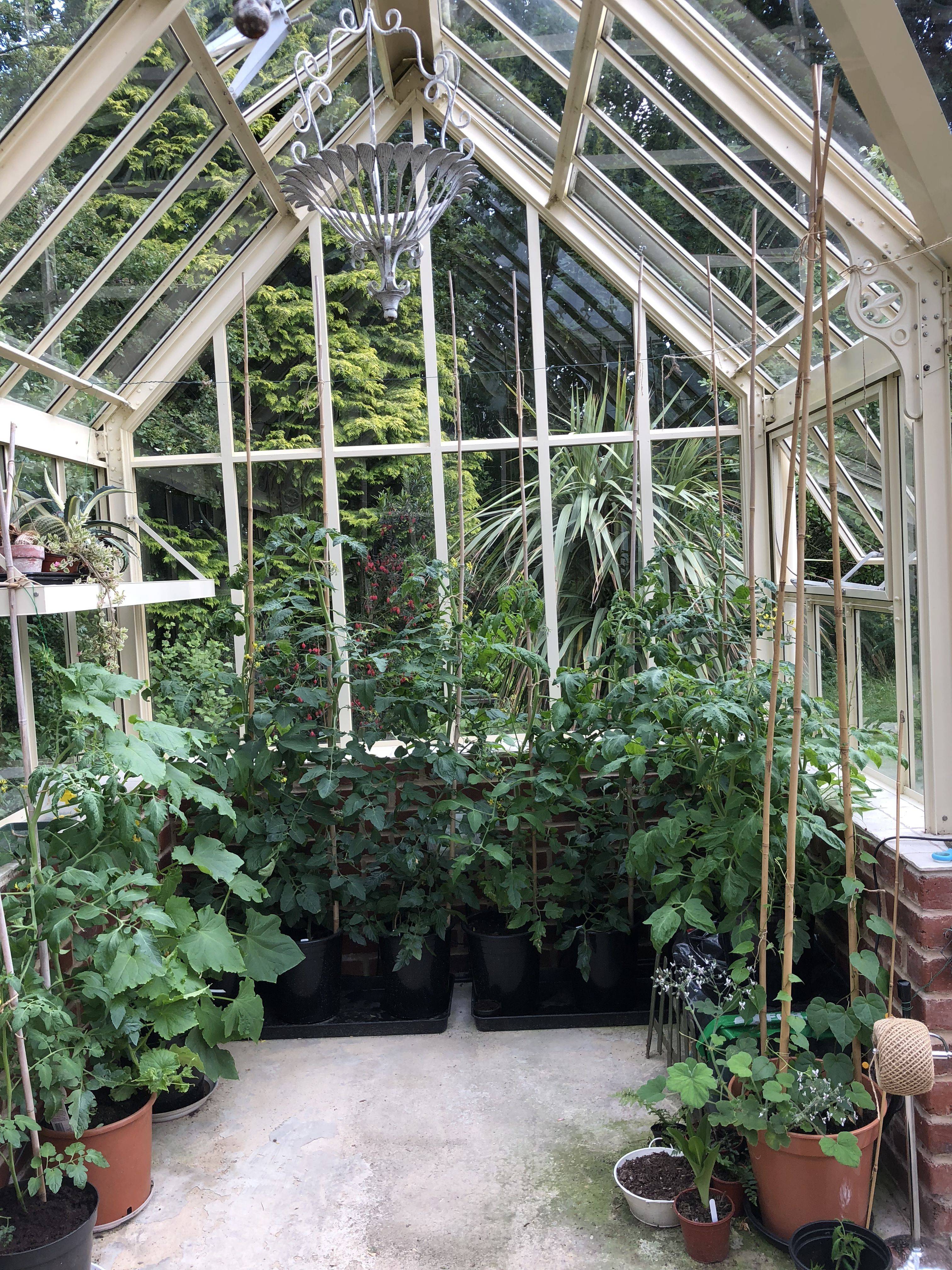 Amazing Conservatory Greenhouse Ideas