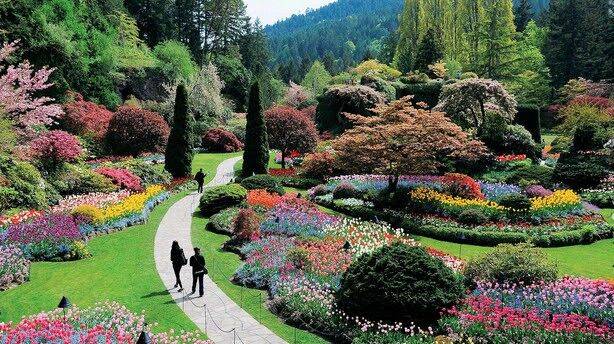 A Secret Garden