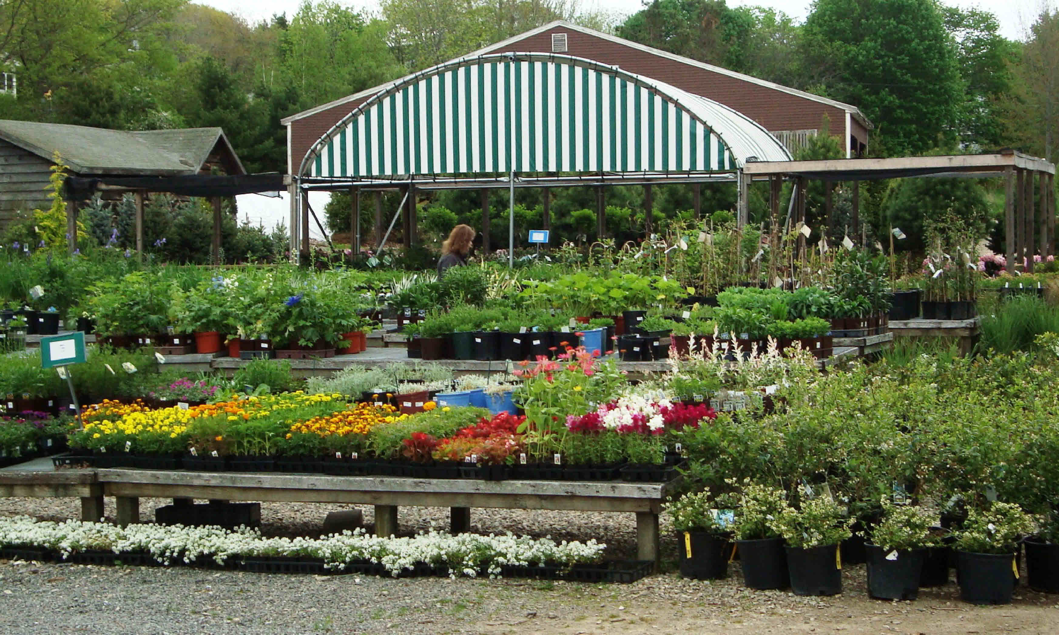 Innovative Modern Home Gardening