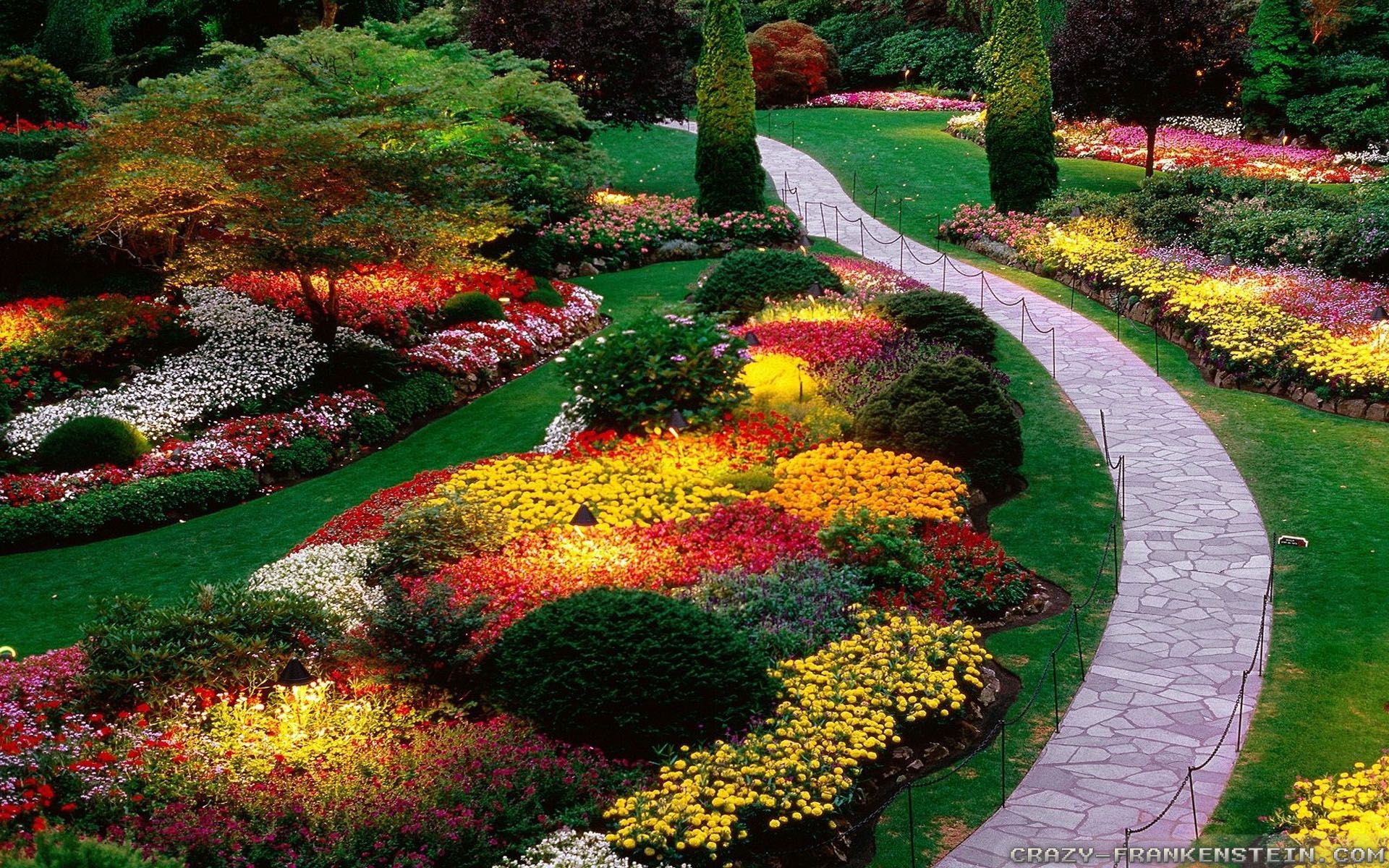 Me Dazzling Garden Design