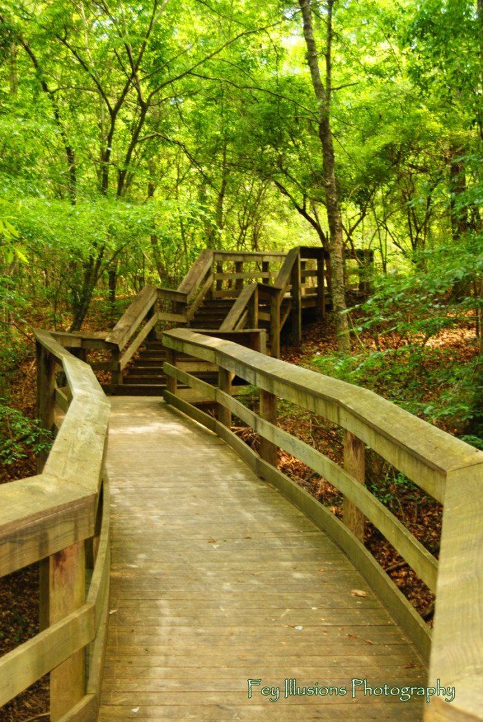Picnic Tables