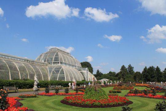 Kew Gardens Travel