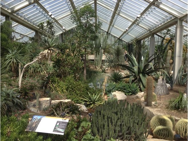 Royal Botanic Gardens