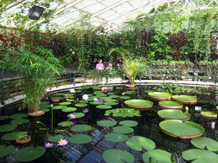 Royal Botanic Gardens