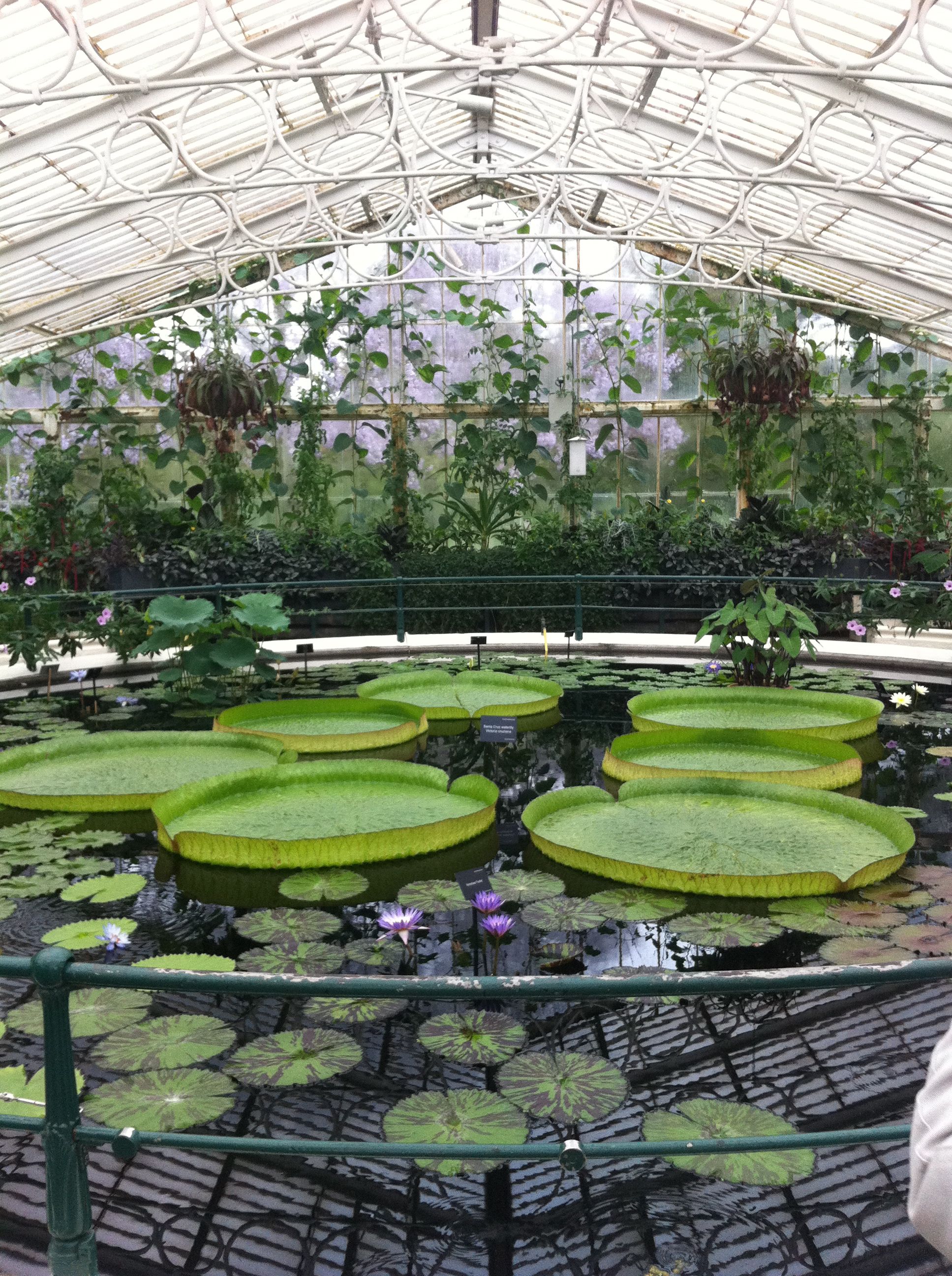 Royal Botanic Gardens