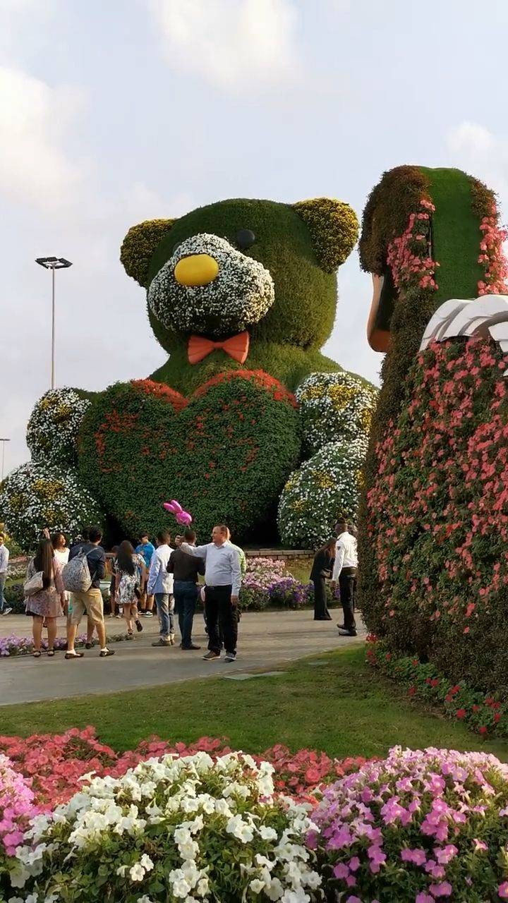 Dubai Miracle Garden Passion