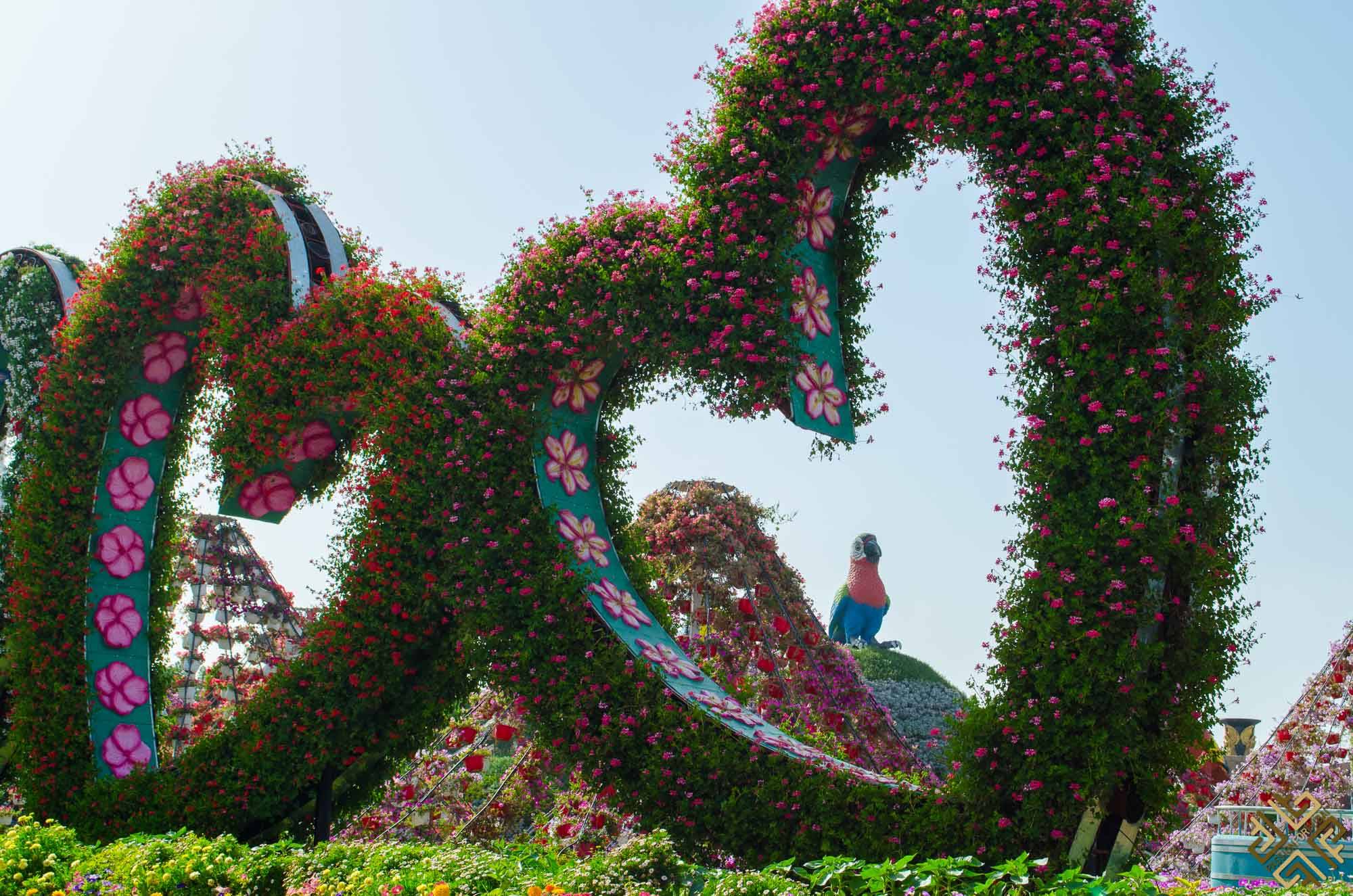 Dubai Miracle Garden Timings