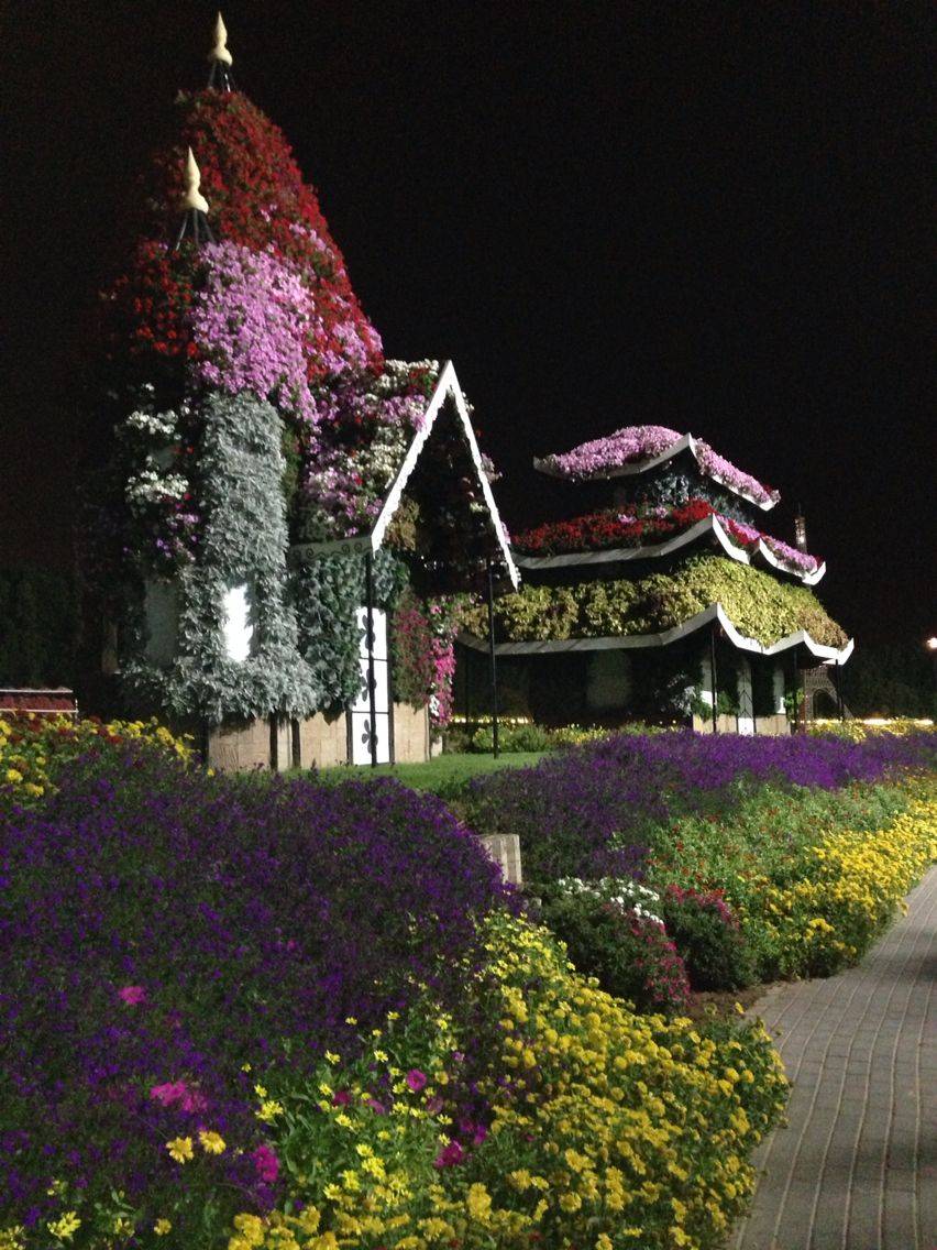 The Miracle Garden