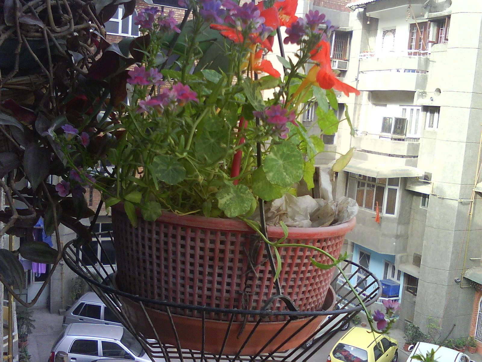 Roof Garden Design Ideas
