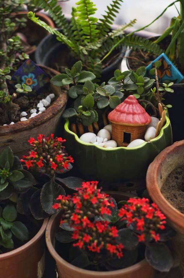 My Balcony Garden
