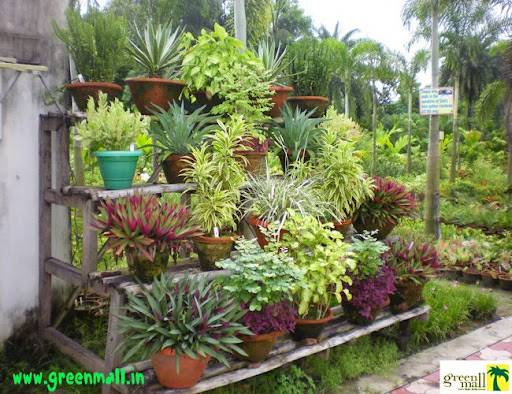 Most Design Ideas Garden Decorative Items