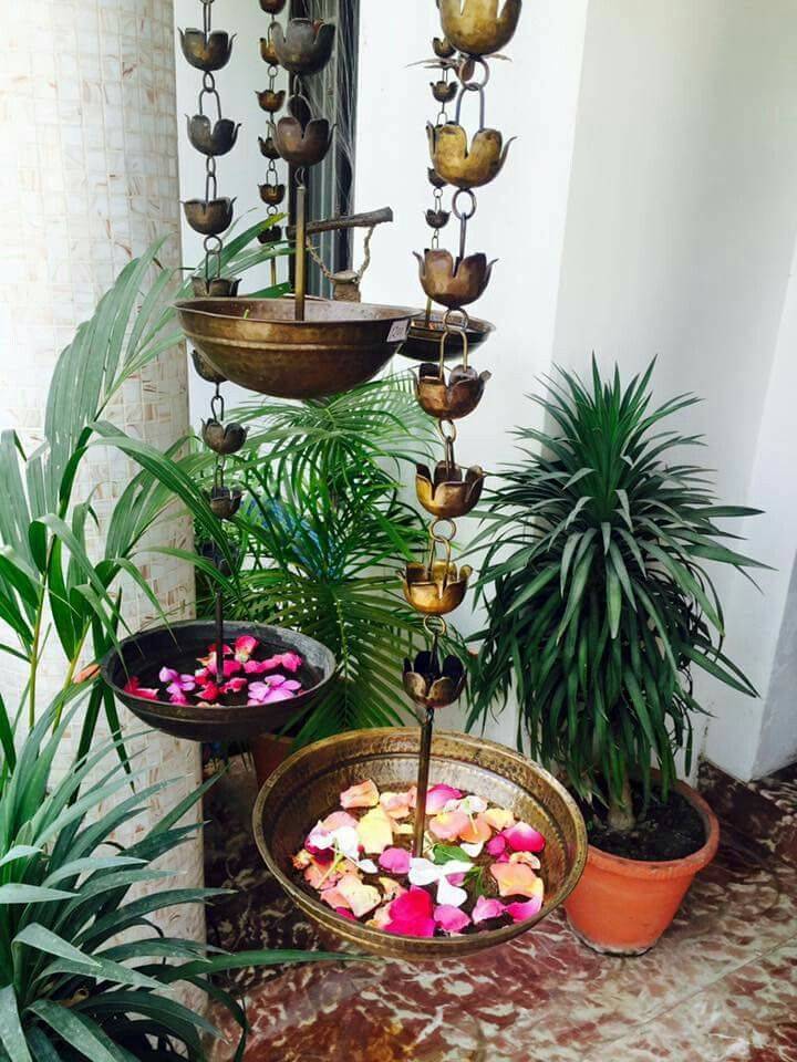 Where To Buy Plants In Kolkata Green Mall Dress Your Home Leading