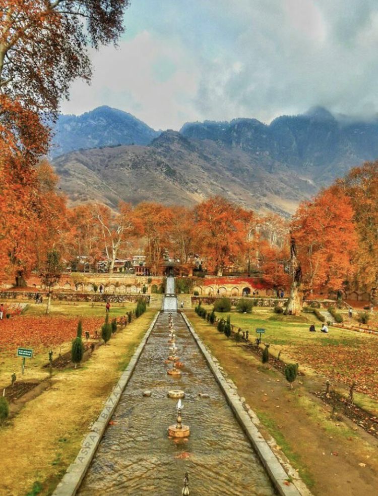 Mughal Garden Nishat