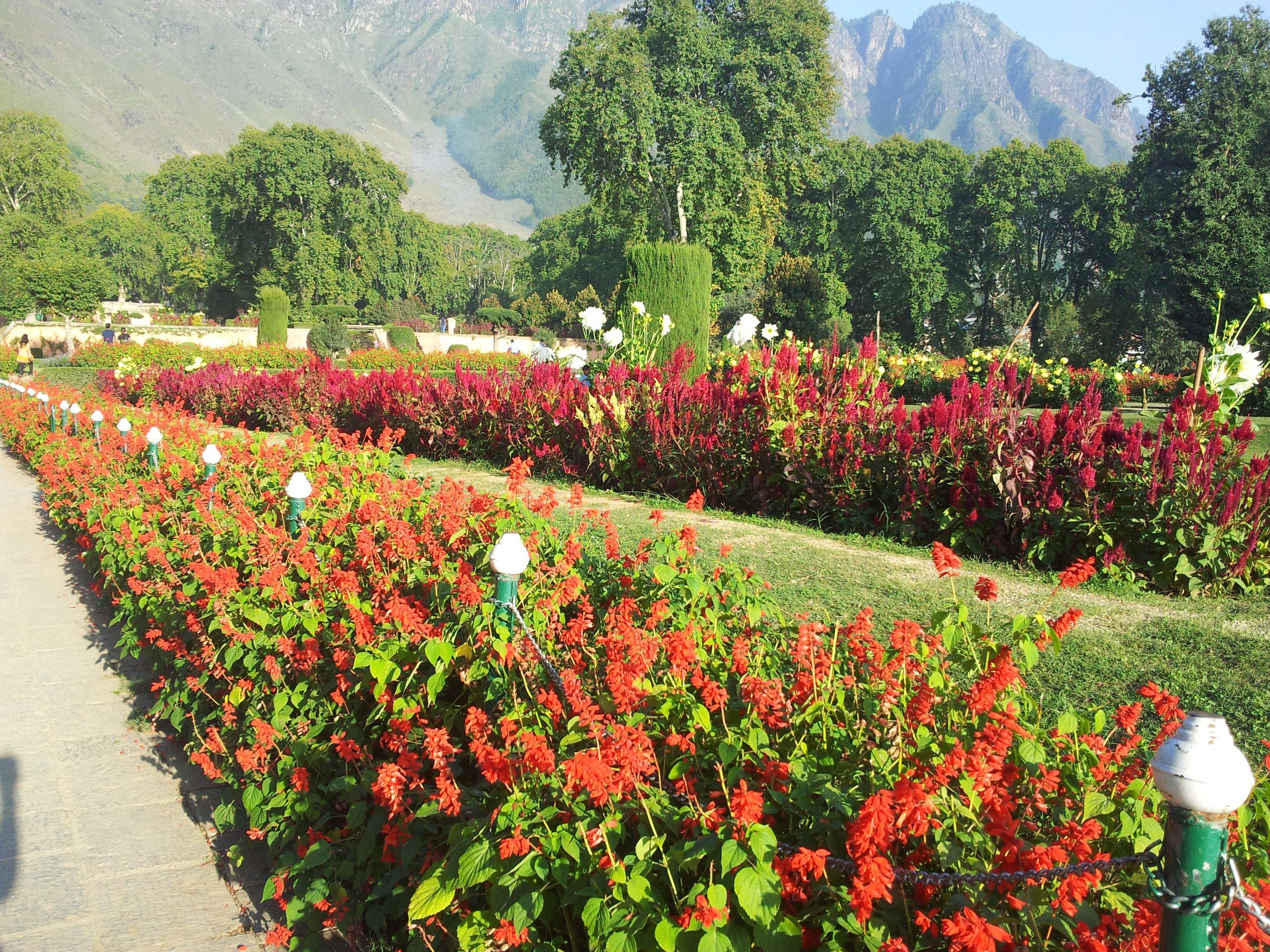 Srinagar Paradise Kashmir Nature Travel