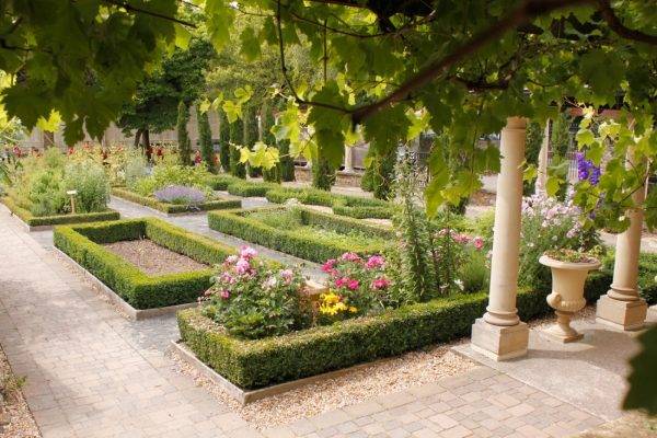 Ancient Ancientgarden Garden