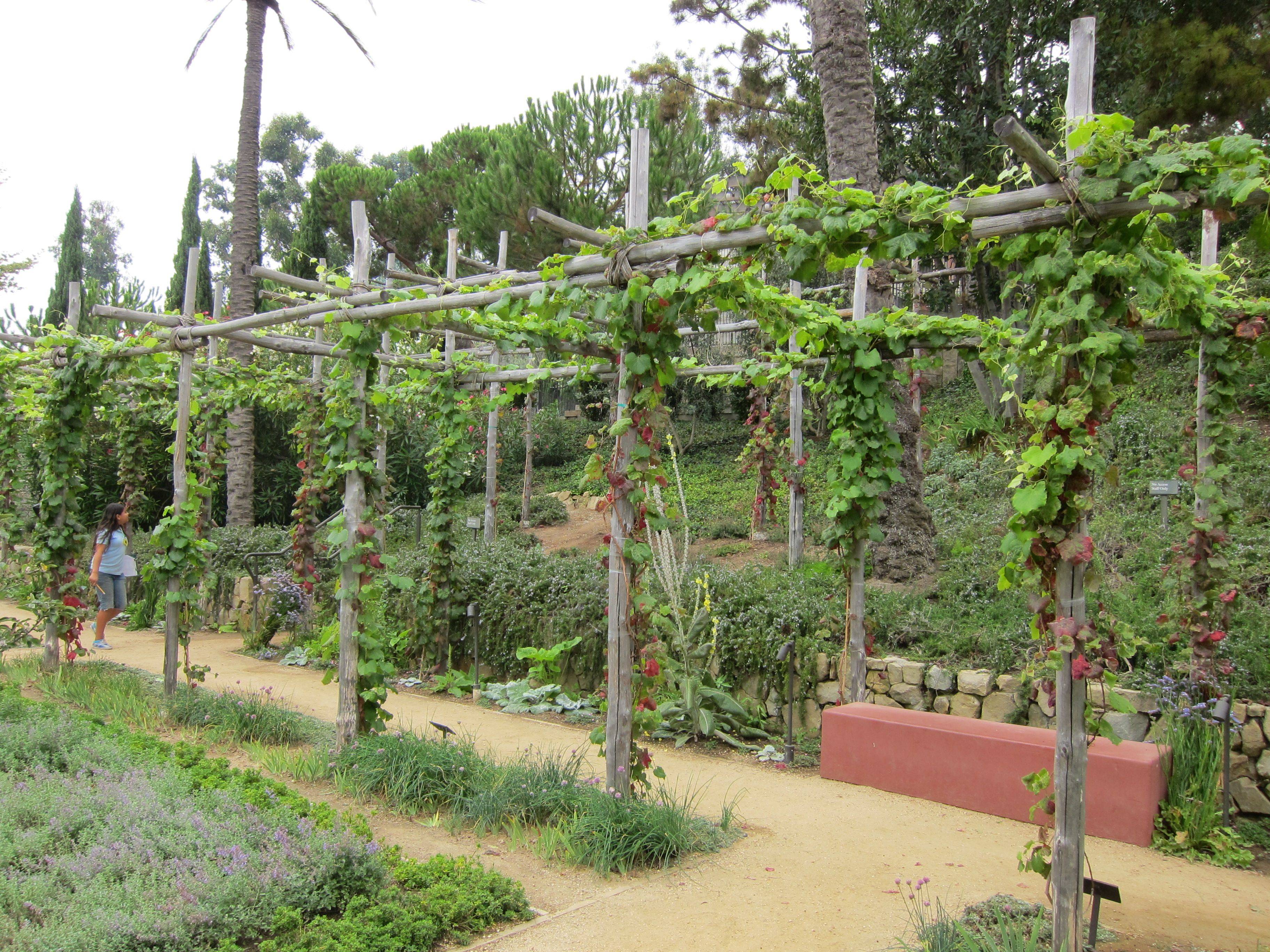 Getty Villa Flickr