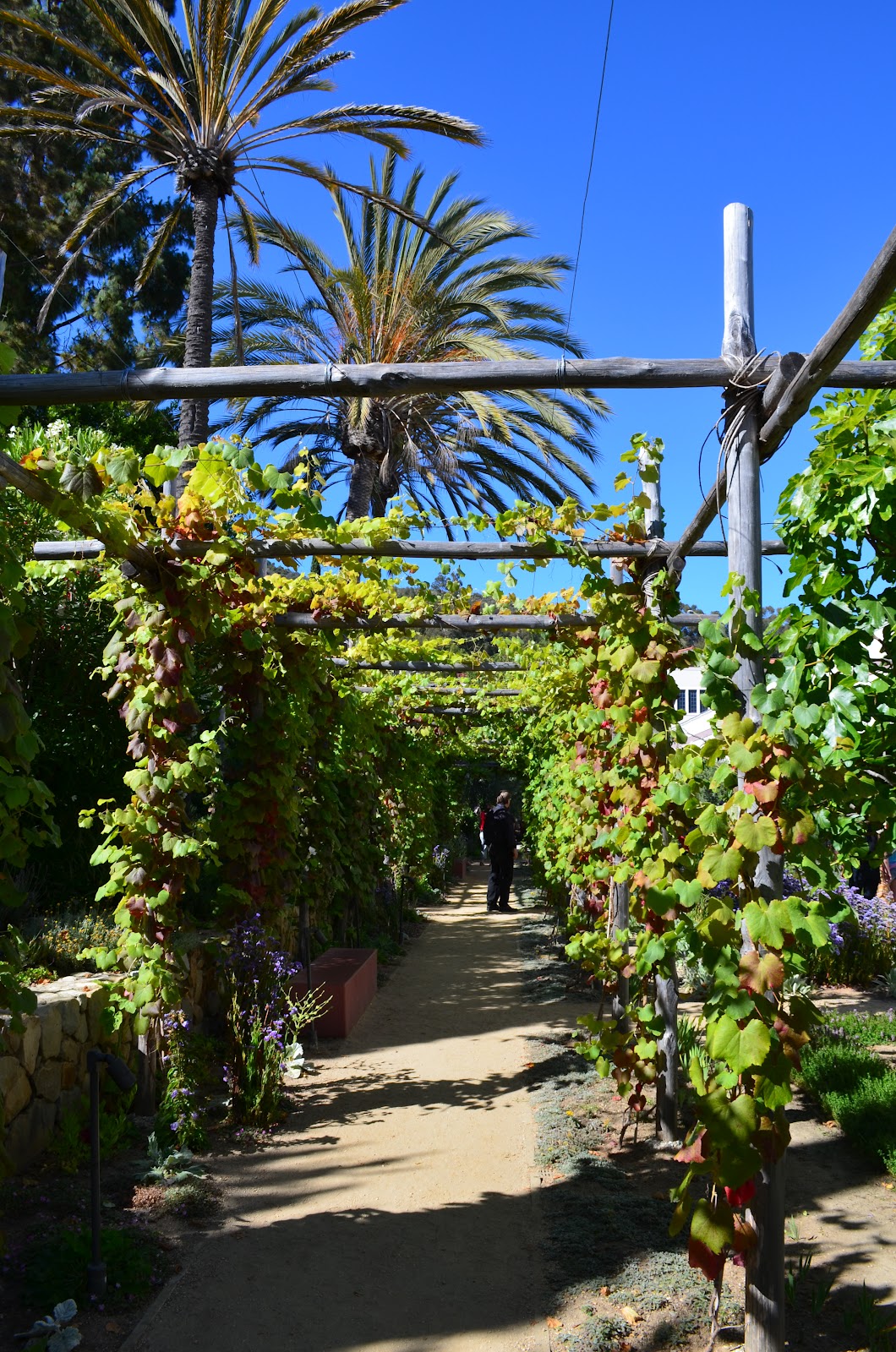 Mediterranean Gardens
