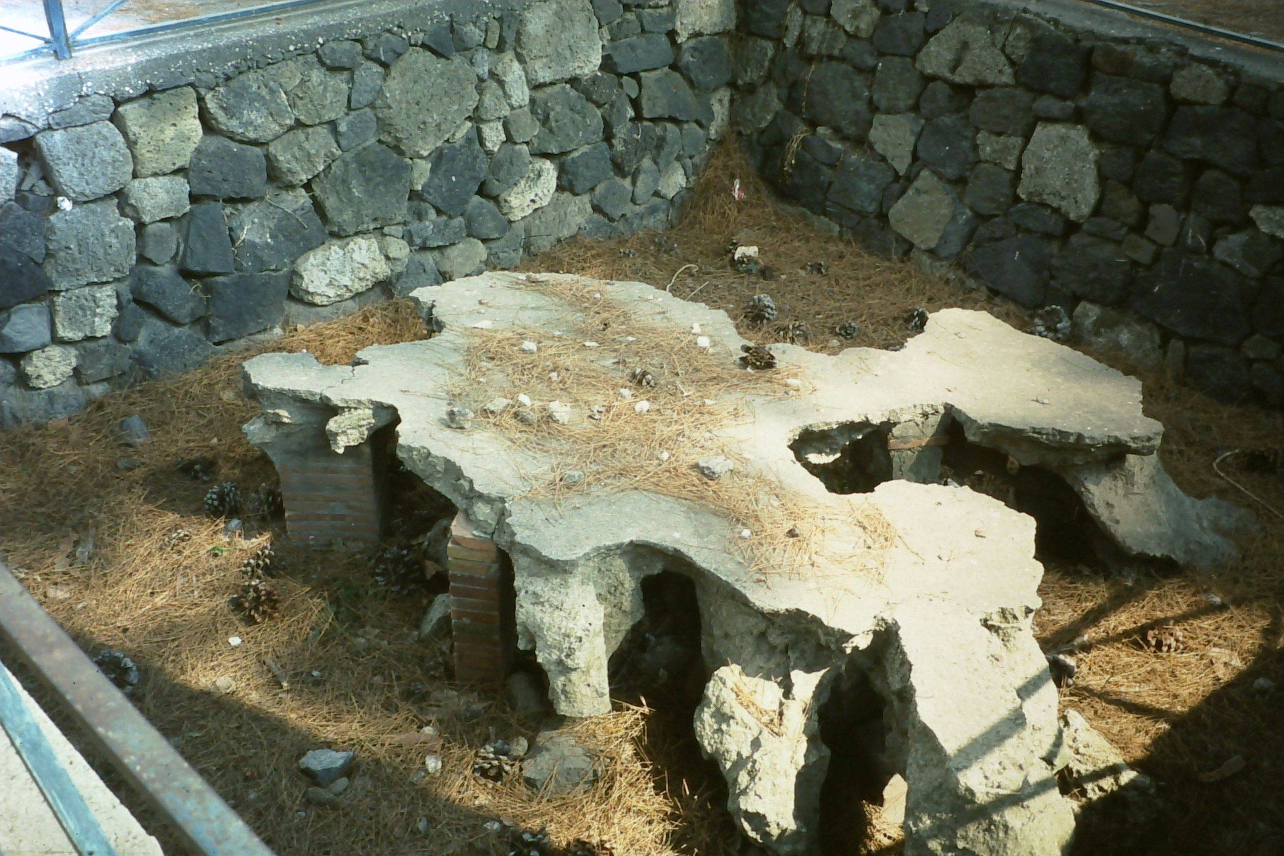 Outdoor Structures